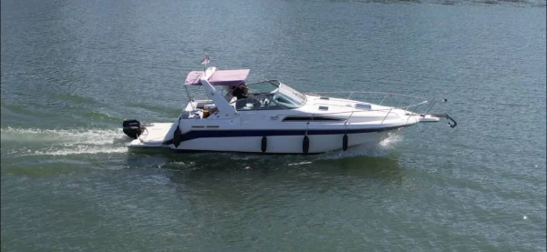 Sea ray Sundancer 290